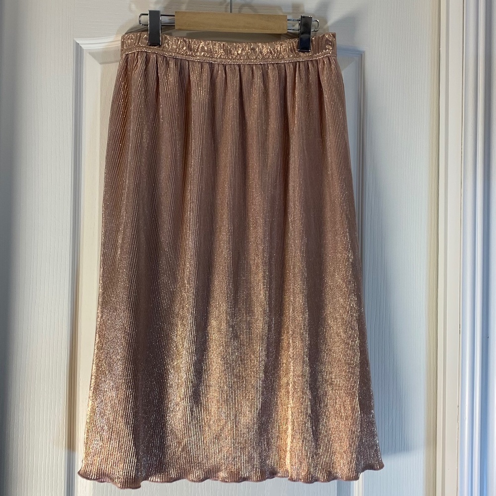 Chenault metallic‎ champagne long skirt, size Large.